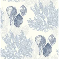 Color Variation