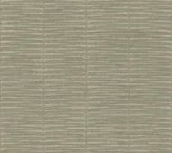 Color Variation