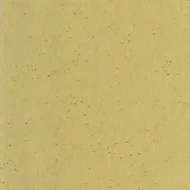 Color Variation