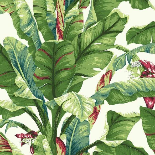 Banana Leaf Wallpaper Whiteprimary wallpaper by York Wallcoverings