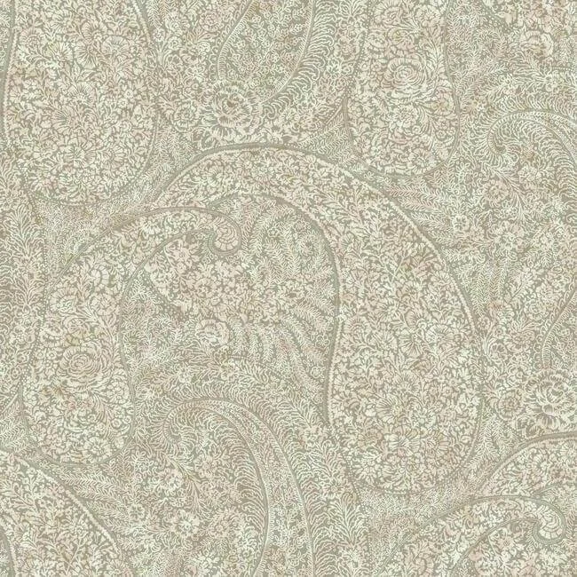 Kashmir Dreams Paisley Wallpaper Neutral Blush wallpaper by York Wallcoverings