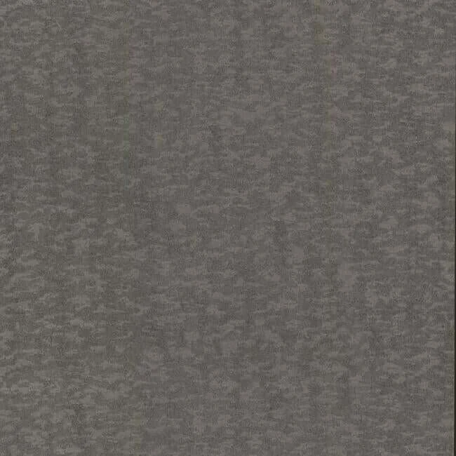 Weathered Cypress Wallpaper Warm Silver wallpaper by York Wallcoverings