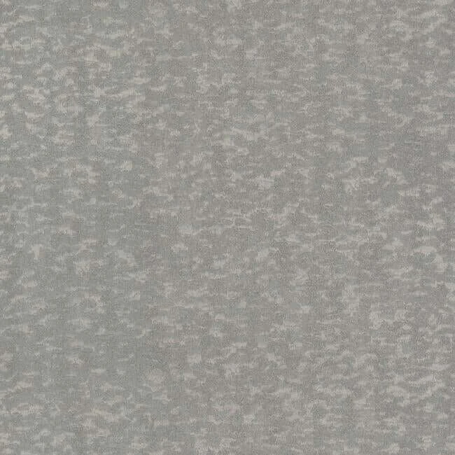 Weathered Cypress Wallpaper Steel Blue wallpaper by York Wallcoverings