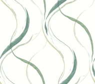 Color Variation