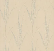 Color Variation