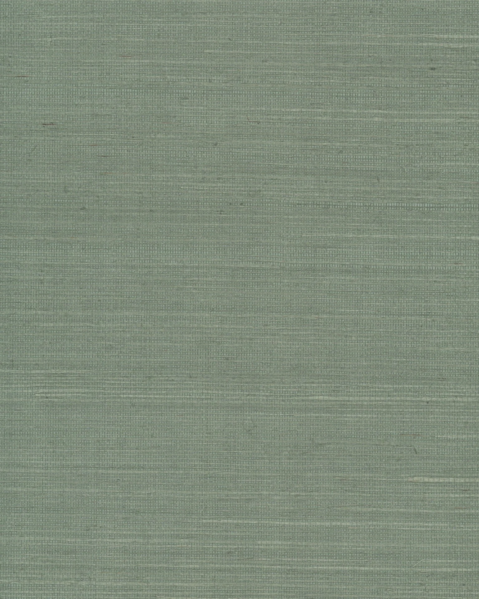 Maguey Sage Sisal Wallpaper Sage wallpaper by York Wallcoverings