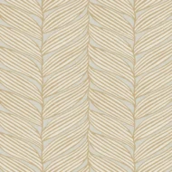 Color Variation