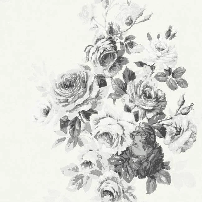 Tea Rose Wallpaper Blackwhite On White wallpaper by York Wallcoverings