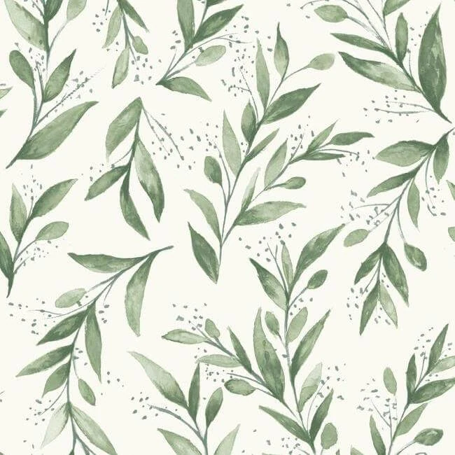 Olive Branch Wallpaper Olive Grove wallpaper by York Wallcoverings