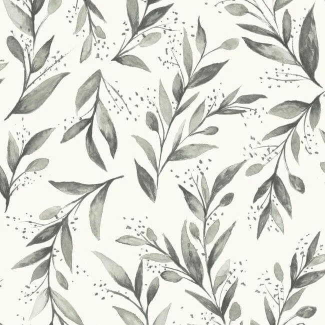 Olive Branch Wallpaper Charcoal wallpaper by York Wallcoverings