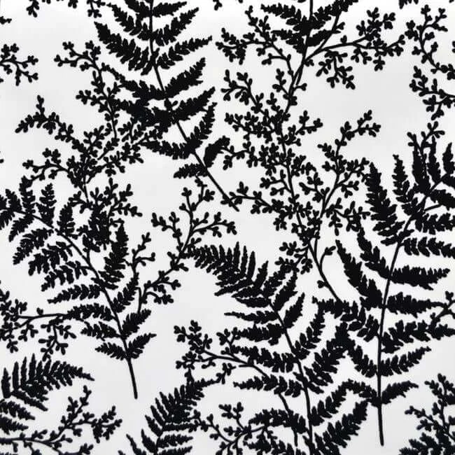 Forest Fern Wallpaper Black wallpaper by York Wallcoverings