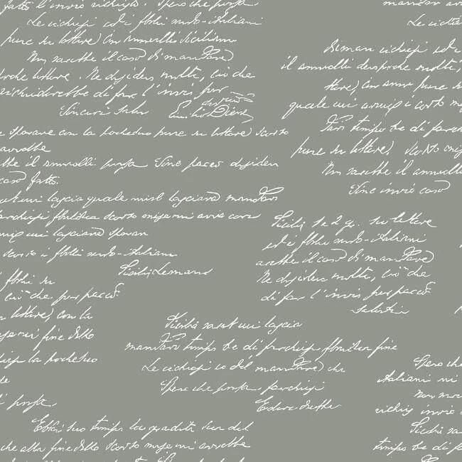 Noteworthy Wallpaper Garden Trowel wallpaper by York Wallcoverings