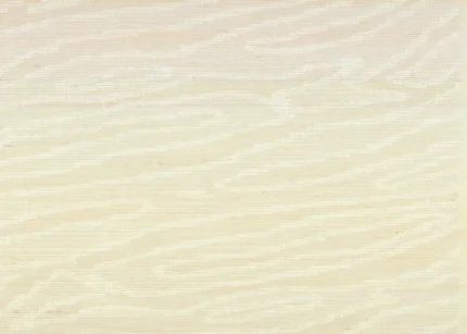 Zambia Wallpaper White wallpaper by York Wallcoverings