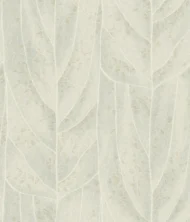 Color Variation