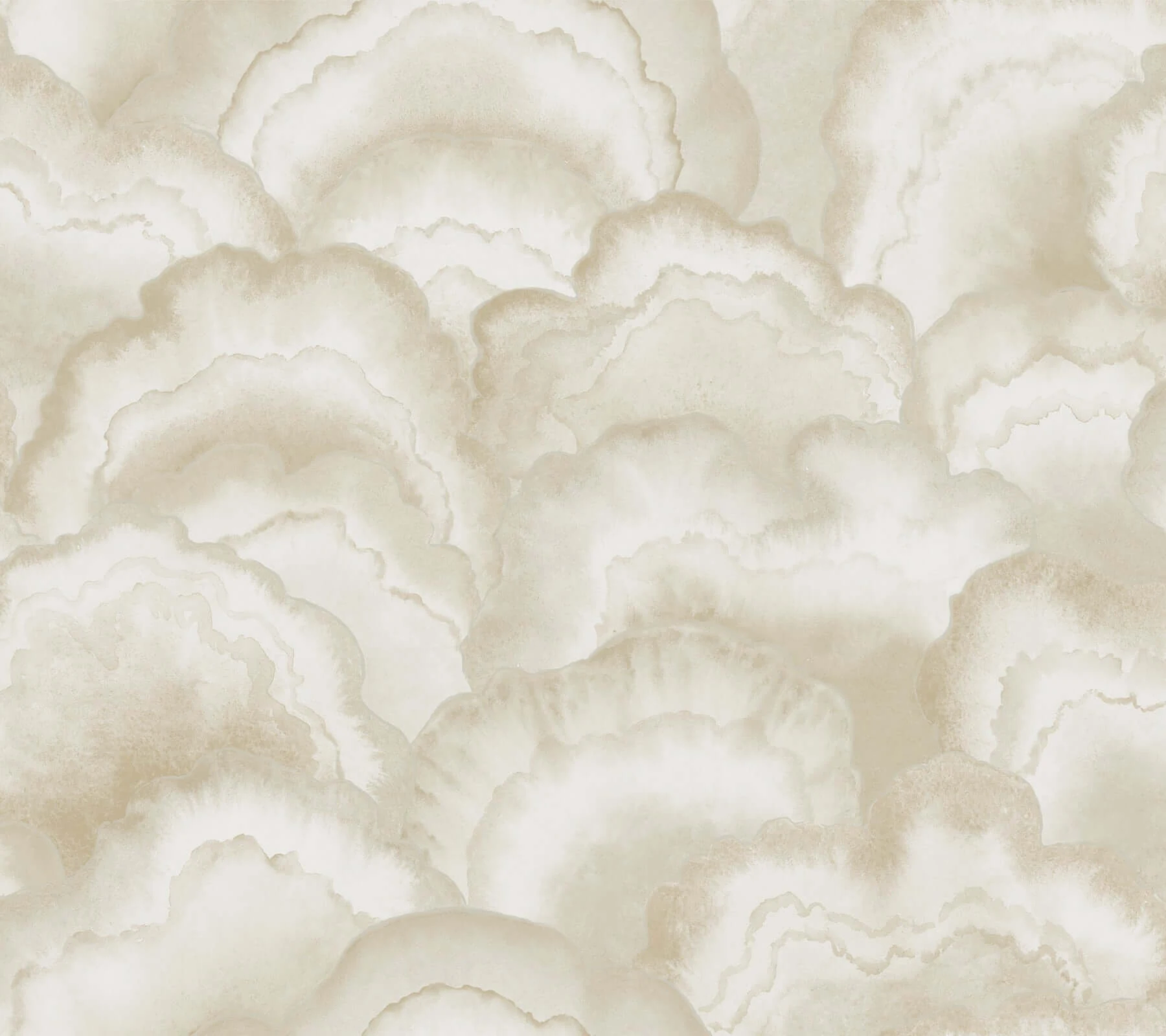 Abalone Fans Wallpaper Sand wallpaper by York Wallcoverings