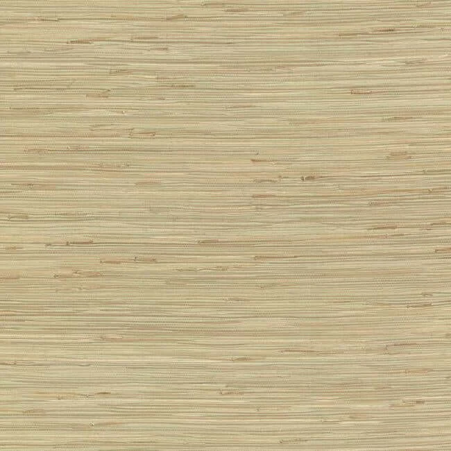 River Grass Wallpaper Spa Greenbeige - York Wallpaper Image 1 River Grass Wallpaper Spa Greenbeige wallpaper by York Wallcoverings
