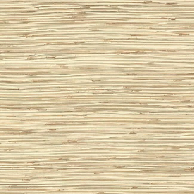 River Grass Wallpaper Wheat Beigetaupe wallpaper by York Wallcoverings