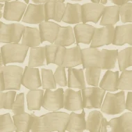 Color Variation