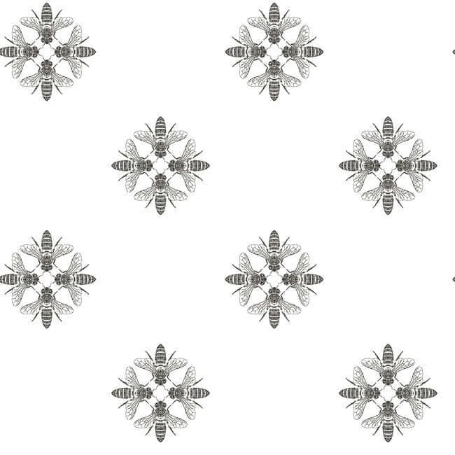 Honey Bee Wallpaper Blackwhite wallpaper by York Wallcoverings