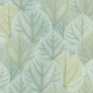Color Variation