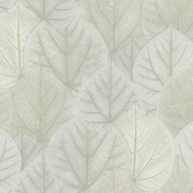Leaf Concerto Wallpaper Pale Grey wallpaper by York Wallcoverings
