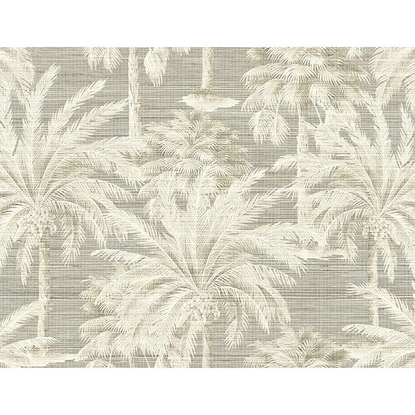 Dream Of Palm Trees Grey Texture Wallpaper wallpaper by York Wallcoverings