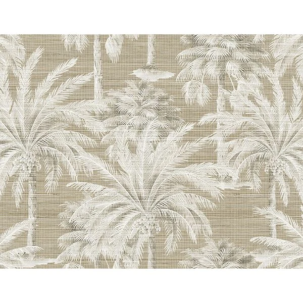 Dream Of Palm Trees Brown Texture Wallpaper wallpaper by York Wallcoverings