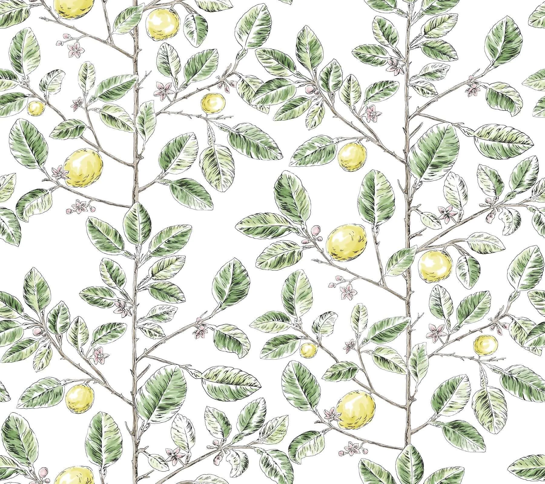 Limoncello Toile Wallpaper Green wallpaper by York Wallcoverings