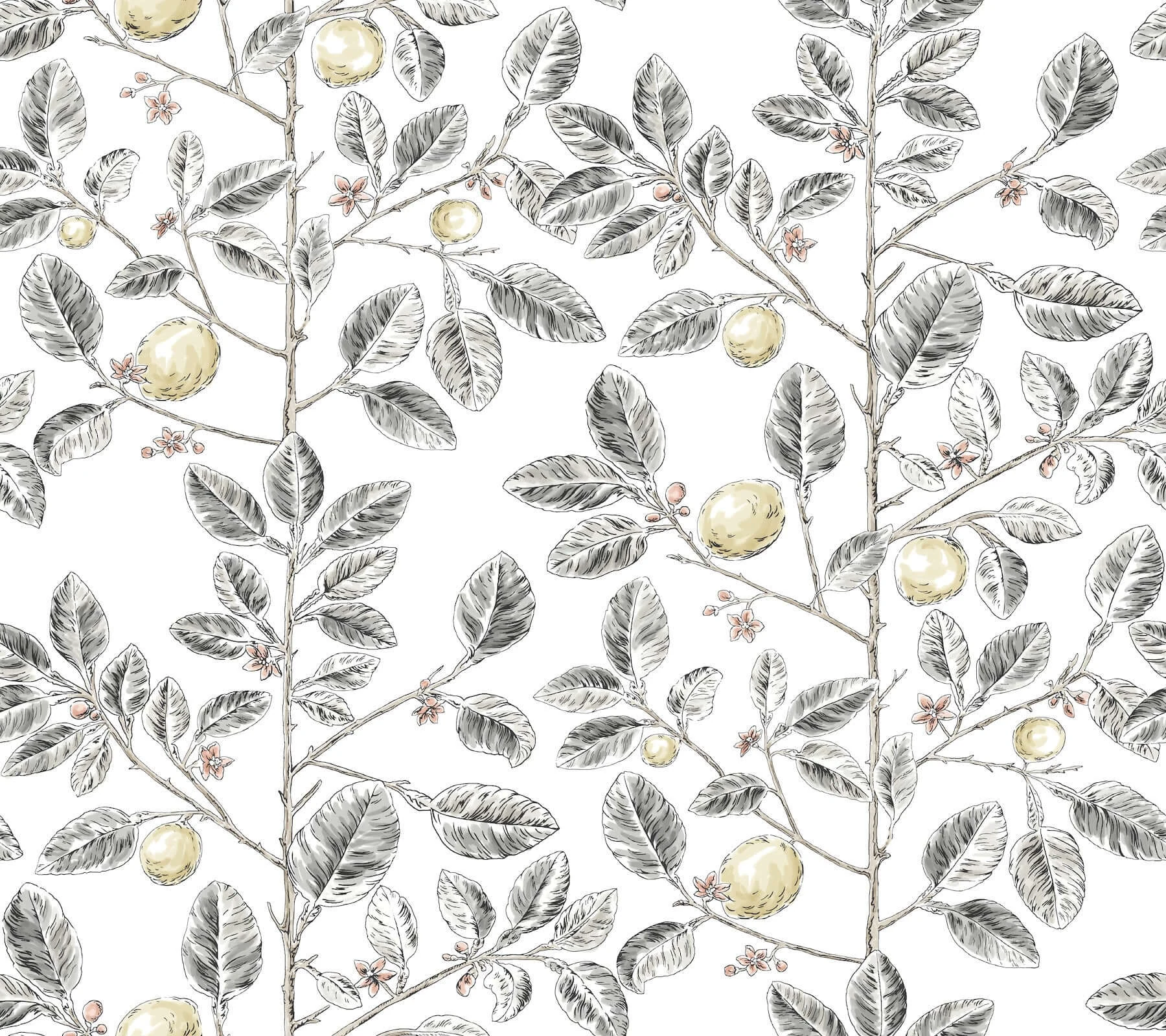Limoncello Toile Wallpaper Black wallpaper by York Wallcoverings