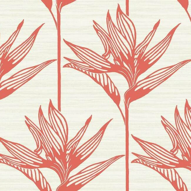 Bird Of Paradise Wallpaper Coral wallpaper by York Wallcoverings