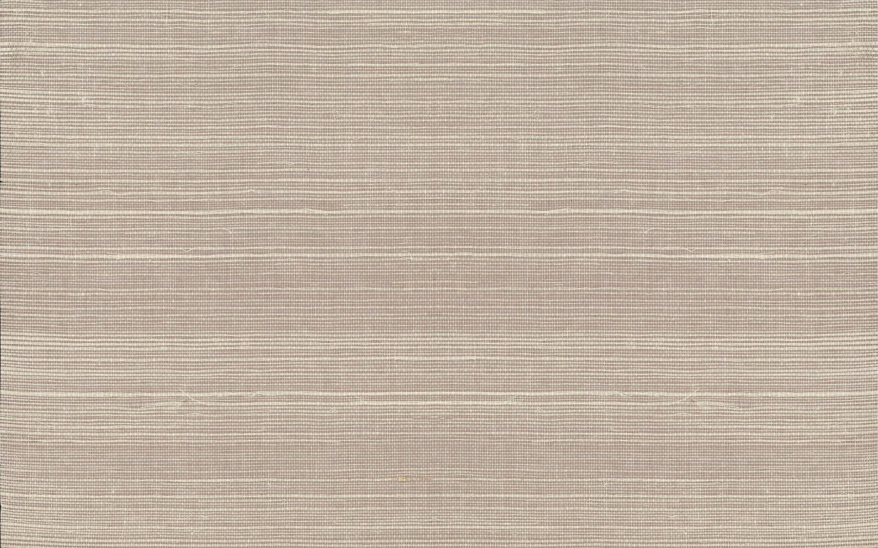 Plain Grass Wallpaper Pale Gray wallpaper by York Wallcoverings