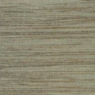 Color Variation