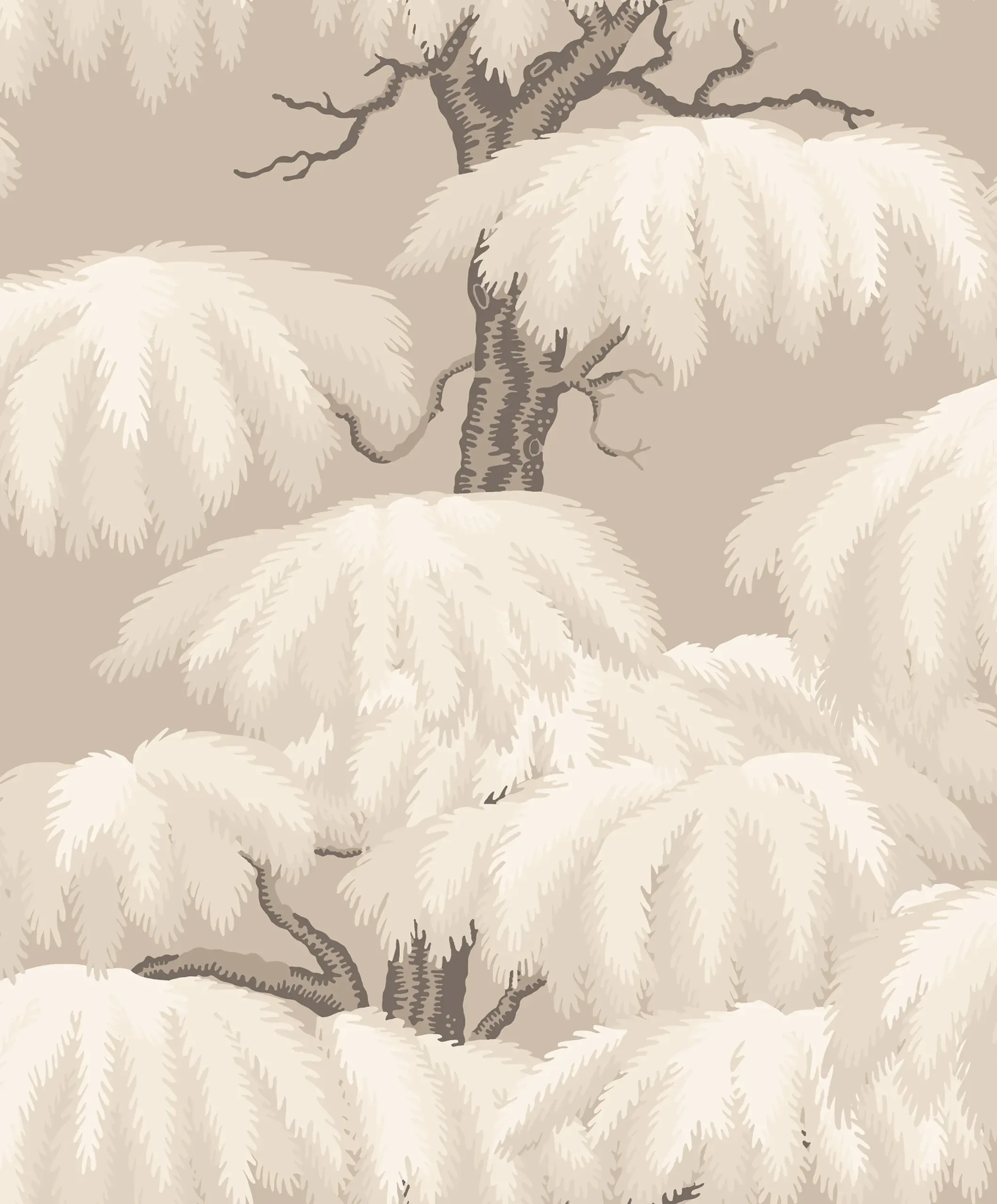 Alba, Beige