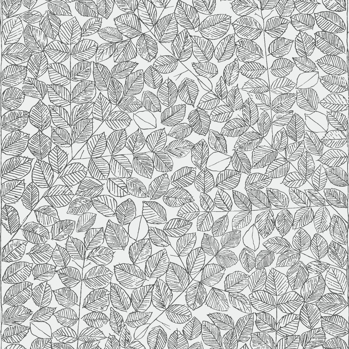 ROMANS BLACK Wallpaper by Schumacher Black