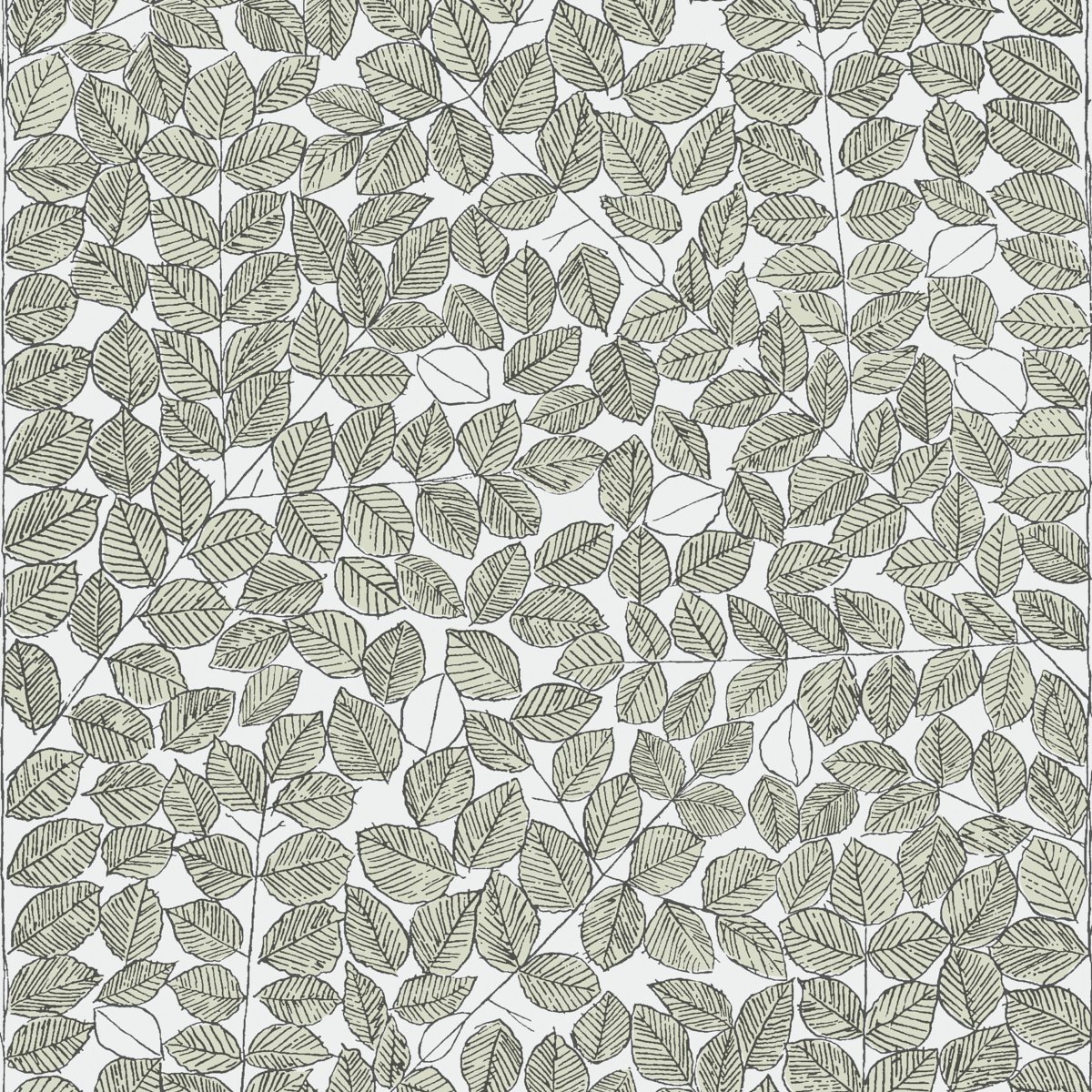 ROMANS LEAF Wallpaper by Schumacher Leaf