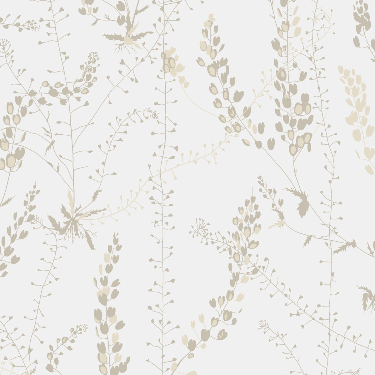 BLADRANKER NATURAL Wallpaper by Schumacher Natural
