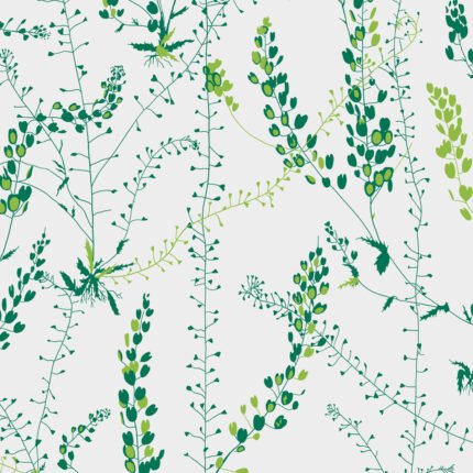 BLADRANKER LEAF Wallpaper by Schumacher