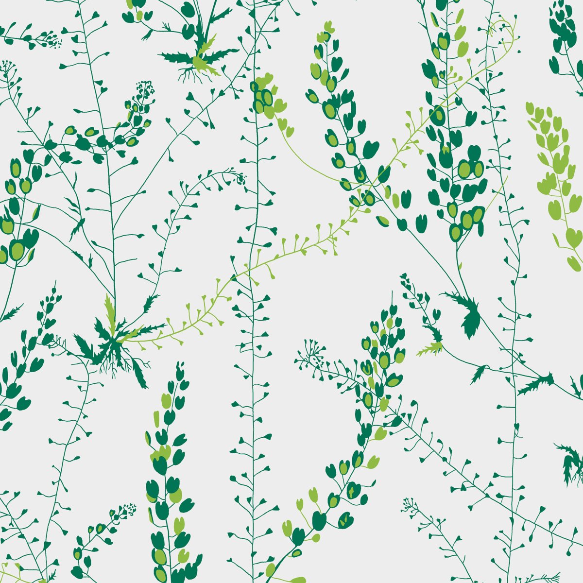 BLADRANKER LEAF Wallpaper by Schumacher Leaf