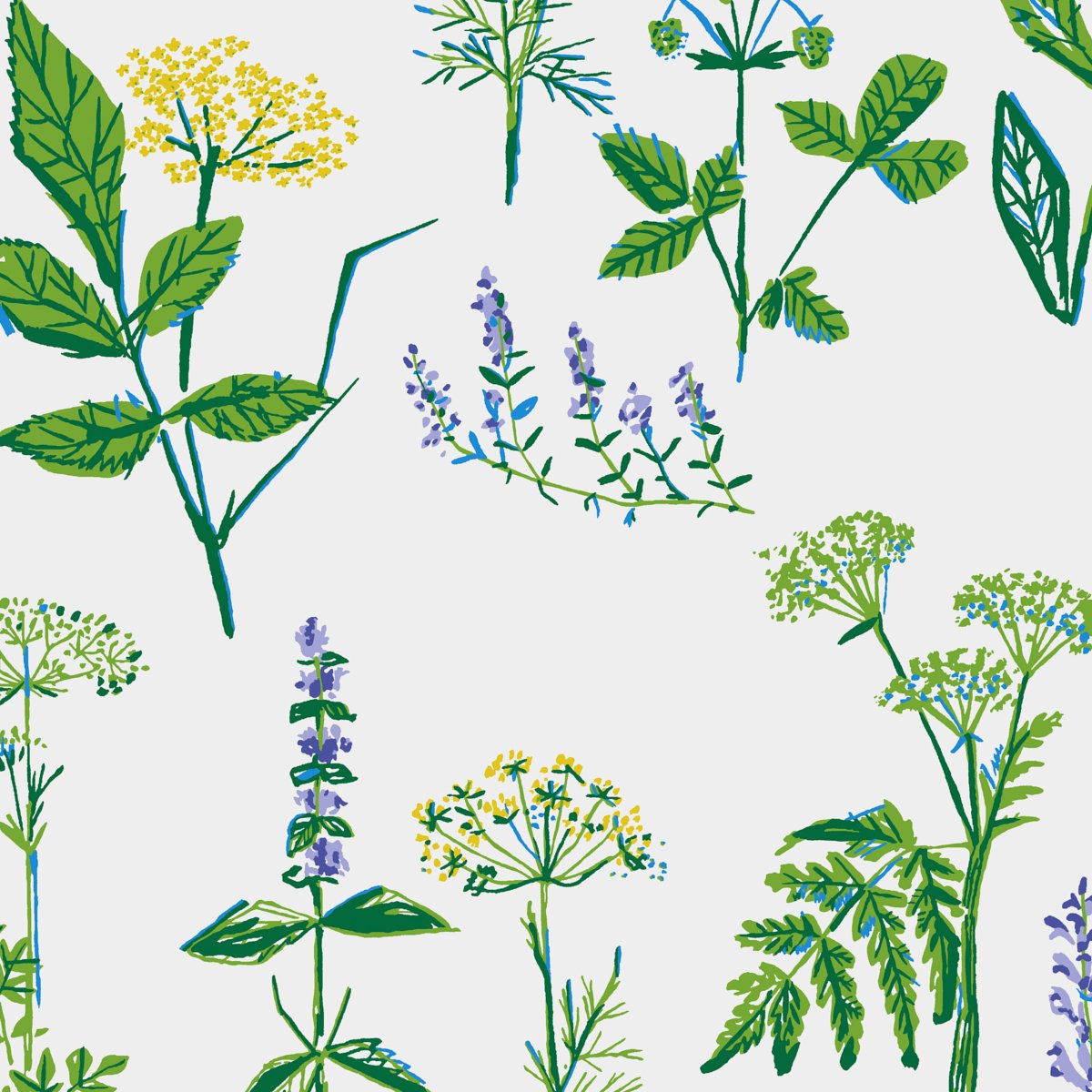 KÖKSVÄXTER LEAF Wallpaper by Schumacher Leaf