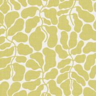 OCHRE