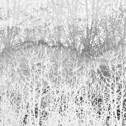 BIRCHES SILVER Wallpaper by Schumacher