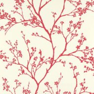 RASPBERRY