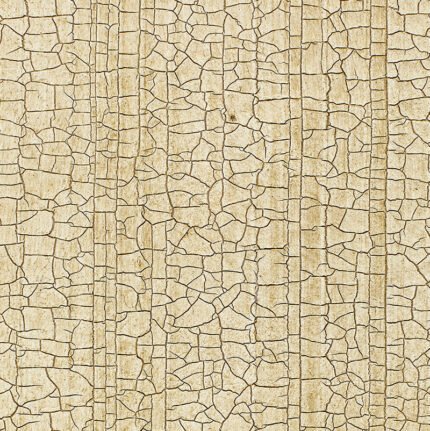 MASACCIO GROUND CHAMPAGNE Wallcovering by Schumacher