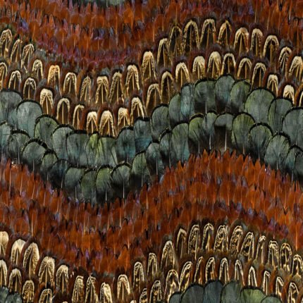 BISCAYNE PEACOCK & PHEASANT Panel by Schumacher
