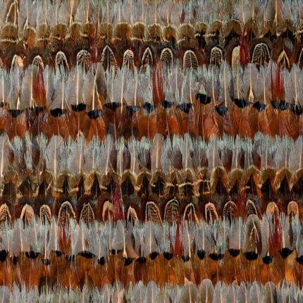 WILDWOOD JEWEL Panel by Schumacher