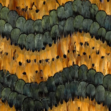 GOLDEN HILL CITRINE Panel by Schumacher