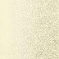 MINERAL