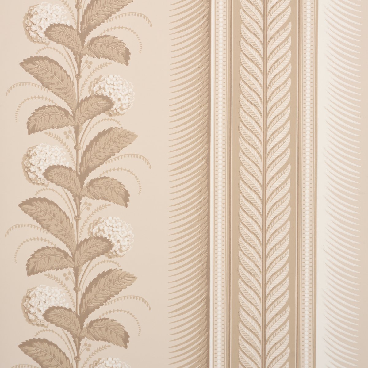 5004453.jpg HYDRANGEA DRAPE FAWN Wallpaper by Schumacher - Image 1