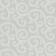 DOVE