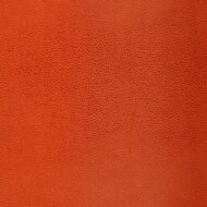 CHINESE ORANGE